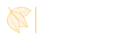 Couve Therapy